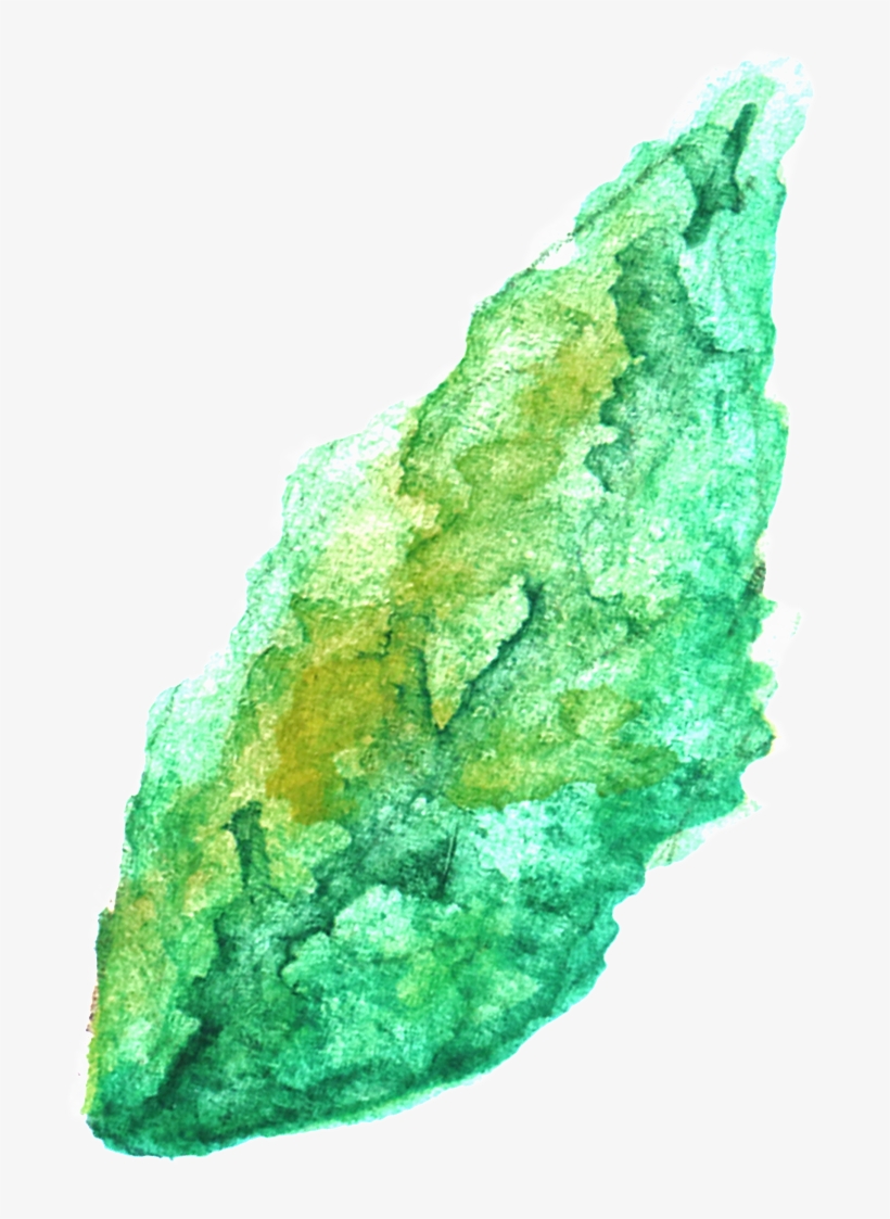 Transparente Png Ornamental Para Verde Y Verde Ramas - Leaf, transparent png #392925
