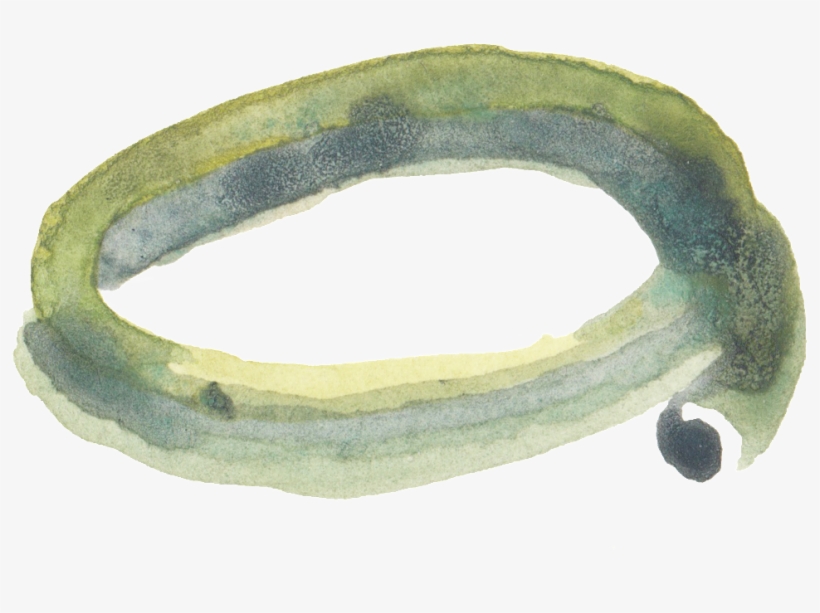 Transparente Png Ornamental Para Verde Y Verde Ramas - Circle, transparent png #392956