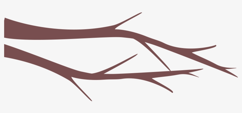 Tags Cloud, transparent png #392973