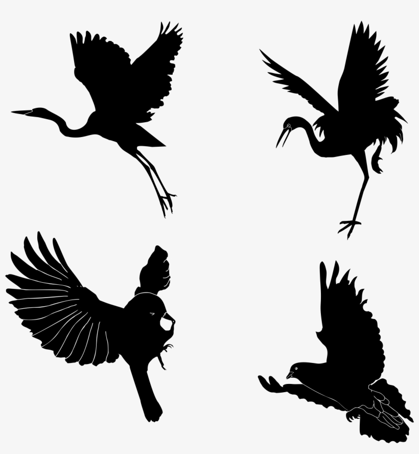 Big Image - Crane, transparent png #393109