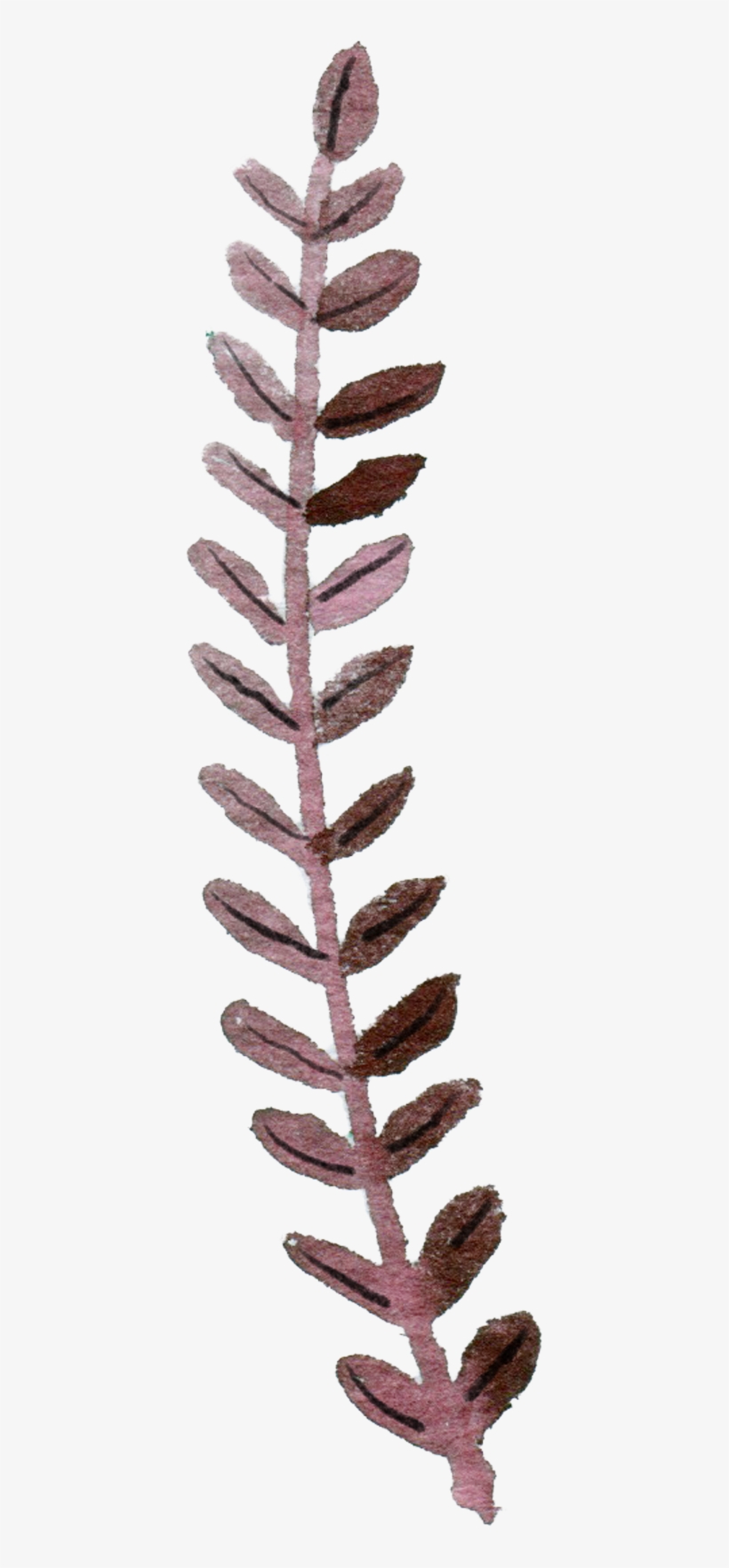 9 Frame - Houseplant, transparent png #393131