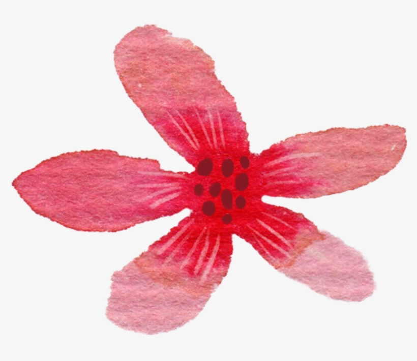 9 Frame - Lily, transparent png #393164