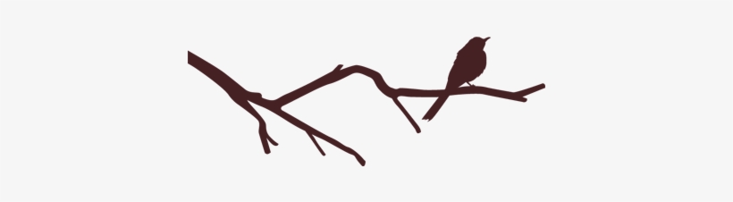 Pájaro En Rama - Wall Sticker Family Like Branches, transparent png #393188