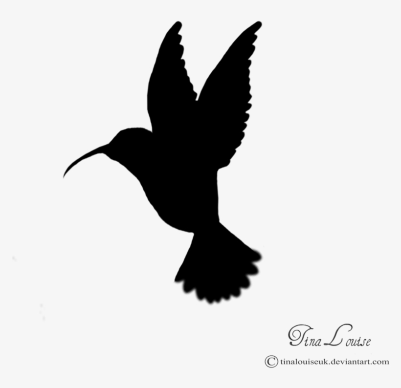 Hummingbird Silhouette Clip Art - Hummingbird Silhouette, transparent png #393217
