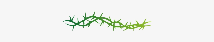 Thorns Clipart Branch Pencil And In Color Thorns Clipart - Thorn Vector, transparent png #393246