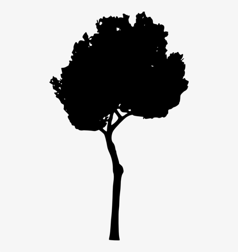 Tree Silhouette Png - Portable Network Graphics, transparent png #393271