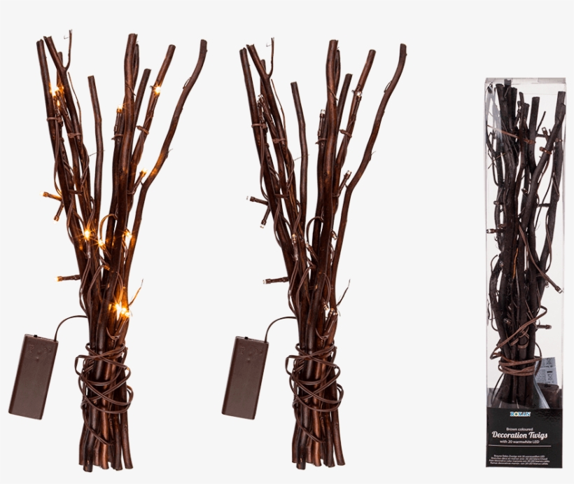 Branch, transparent png #393318