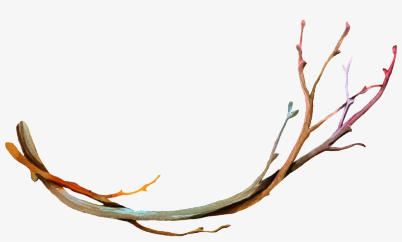 Png Transparente De Ramas Secas - Branches With Transparent Background, transparent png #393344