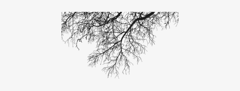 Rama Deco Arriba - Branches Png, transparent png #393521
