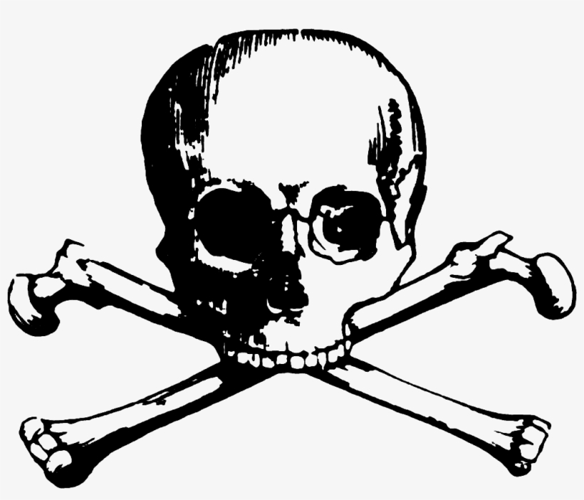 Vector Skull And Bones Human Symbolism Clip Art - Skull And Bones Png, transparent png #393935