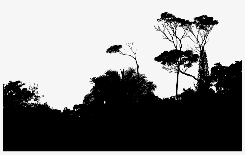 This Free Icons Png Design Of Tropical Foliage Silhouette, transparent png #393956