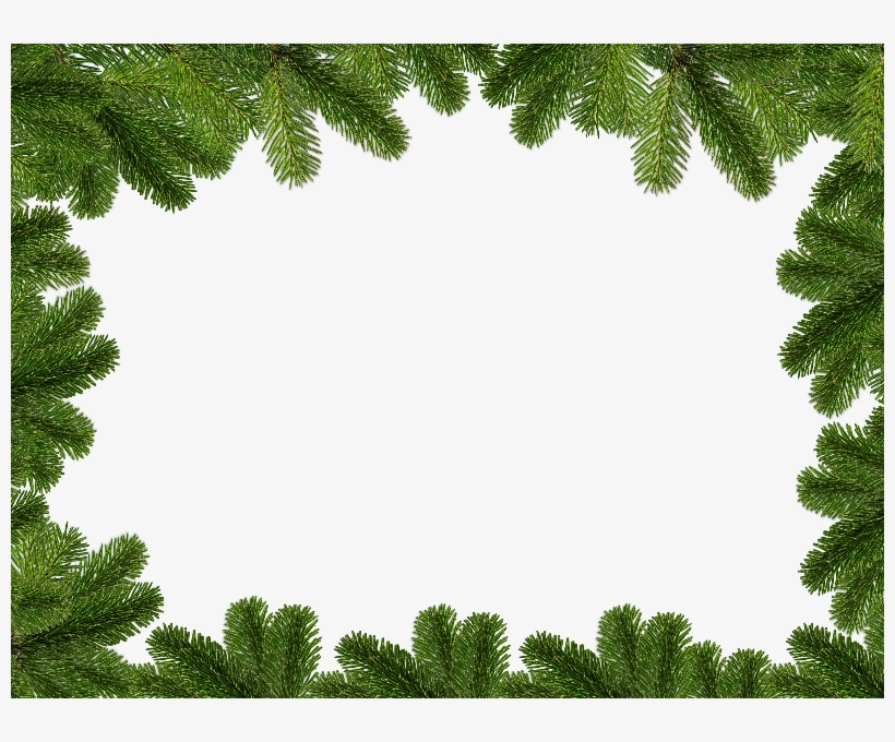 Christmas Background With Fir Branches Free Download - Christmas Day, transparent png #394109