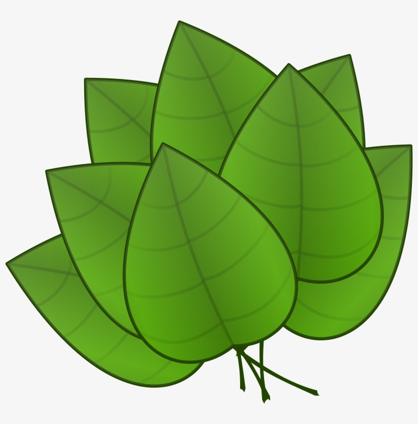 Leaves Clip Art At Clker - Parts Of Plants Leaves, transparent png #394195