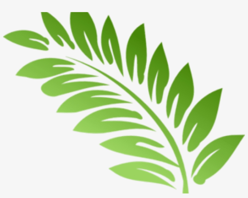 Fern Clipart Foliage - Fern Leaf Keychain, Adult Unisex, Lavender Blush, transparent png #394655