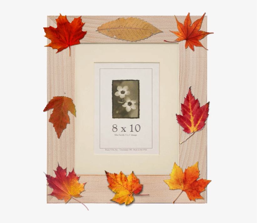 Framing Fall Foliage - 22x28 Colori Medium Picture Frame Yellow, transparent png #394699