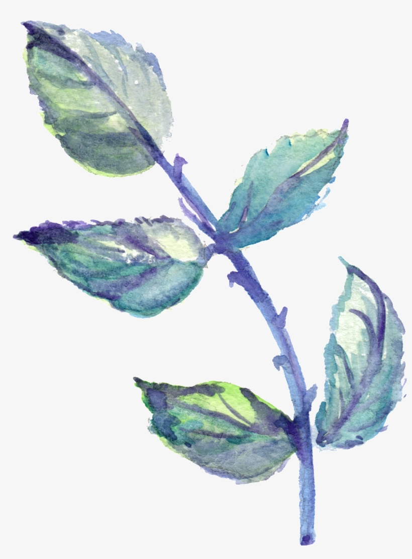 This Graphics Is Purple Thorn Leaves Transparent Decorative - Purple, transparent png #394833