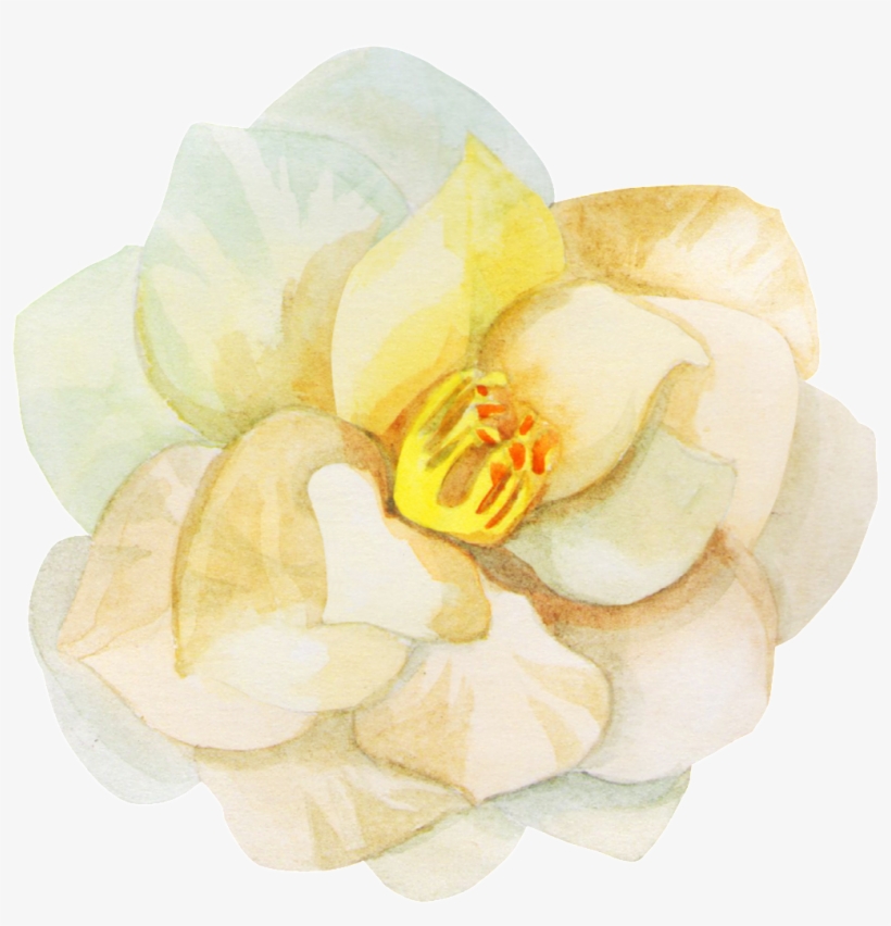 Hand Painted Beautiful Rendering Flower Png Transparent - Rendering, transparent png #395023