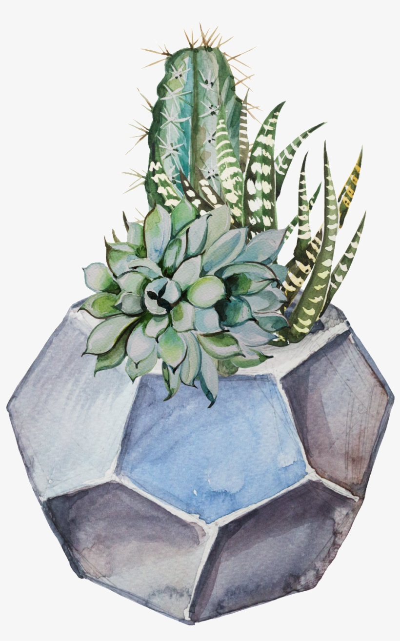 Hand Painted Fresh Plant Potted Transparent - Cactus, transparent png #395341