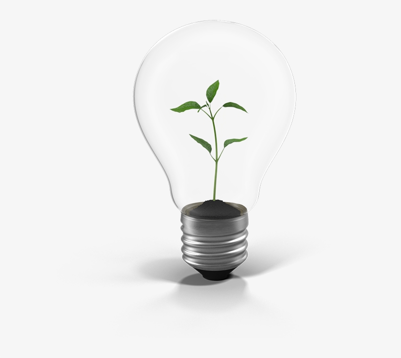 Passionate About What We Do, We Are The Government-recognised - Incandescent Light Bulb, transparent png #395737
