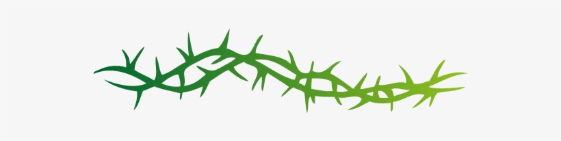 Crown Of Thorns Clipart - Rose Forever Thorned: From A Thorn Comes A Rose And, transparent png #395978