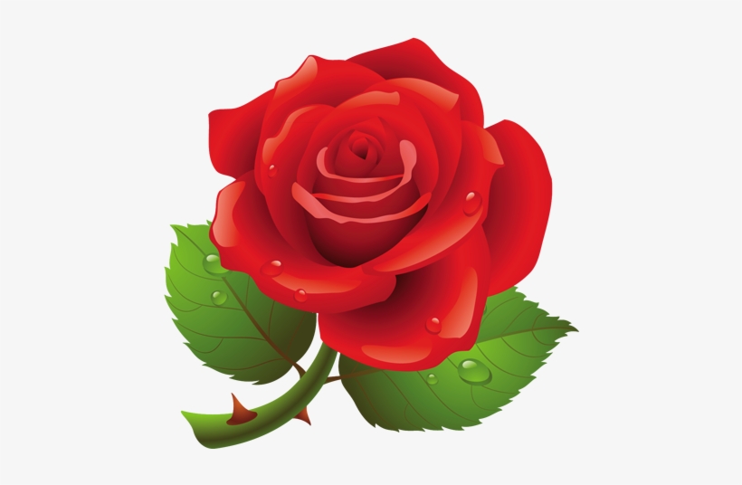 Flower Crown Transparent Png Pictures - Red Roses Shower Curtain, transparent png #396288
