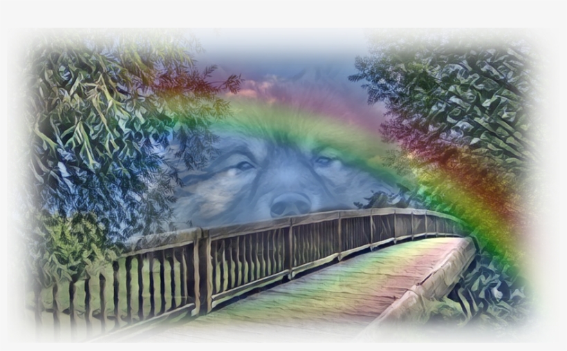 Vector Black And White Library Wolfsspitze Vom Kiersper - Keeshond, transparent png #397698