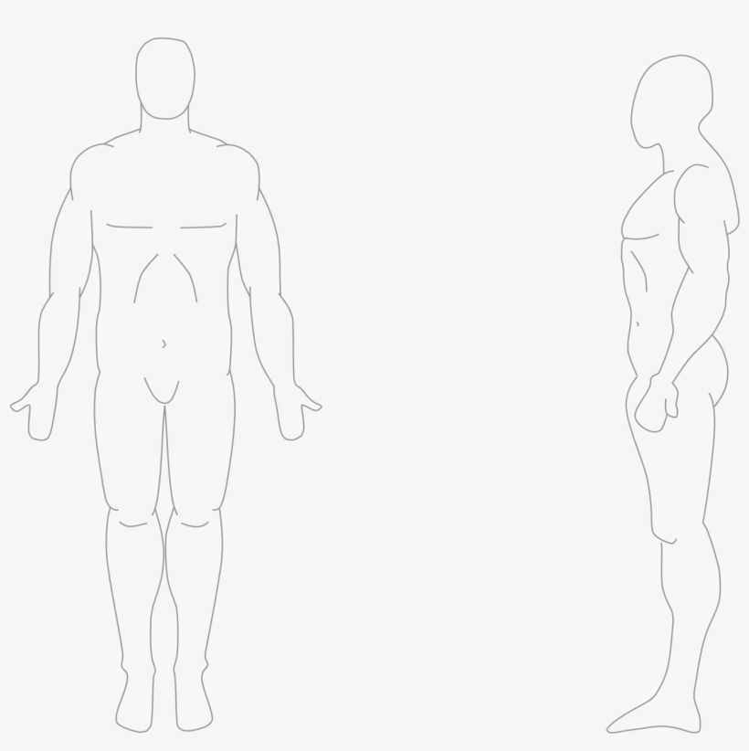 Human Body Outline Png - Human From Front And Side, transparent png #397700