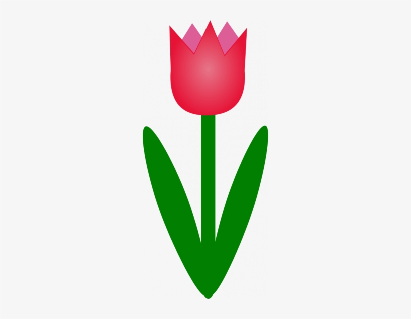 Simple Tulip - Tulip Clip Art, transparent png #399016