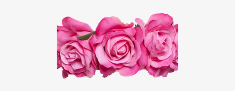 Photo - Dylan O Brien Stickers Png, transparent png #399637