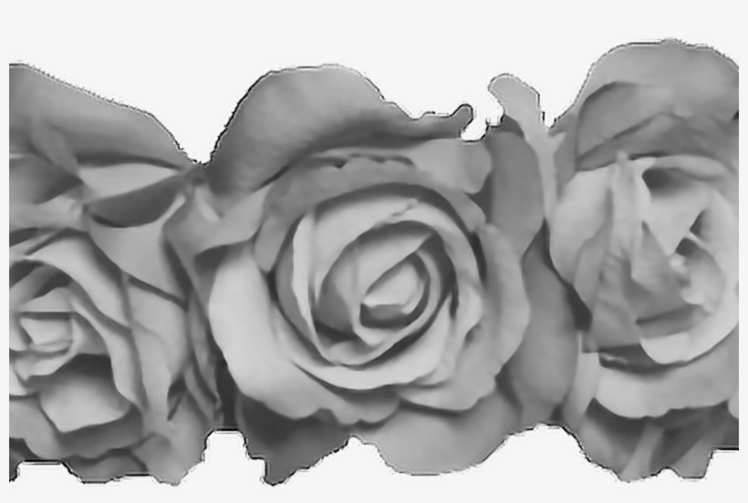 Flowercrown Flower Crown Grey Sticker By Jmp - Dylan O Brien Stickers Png, transparent png #399762