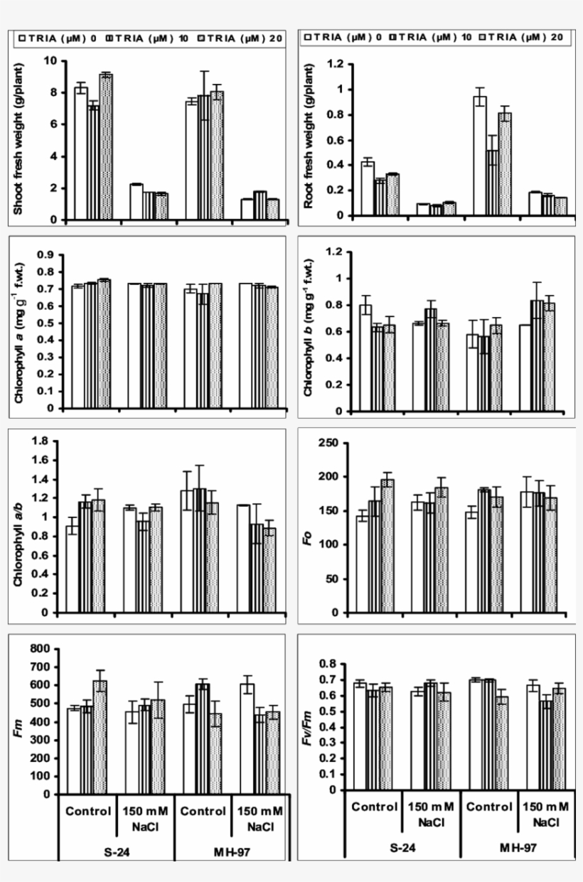 Growth Attributes, Chlorophyll Contents And Photosystem, transparent png #3902482