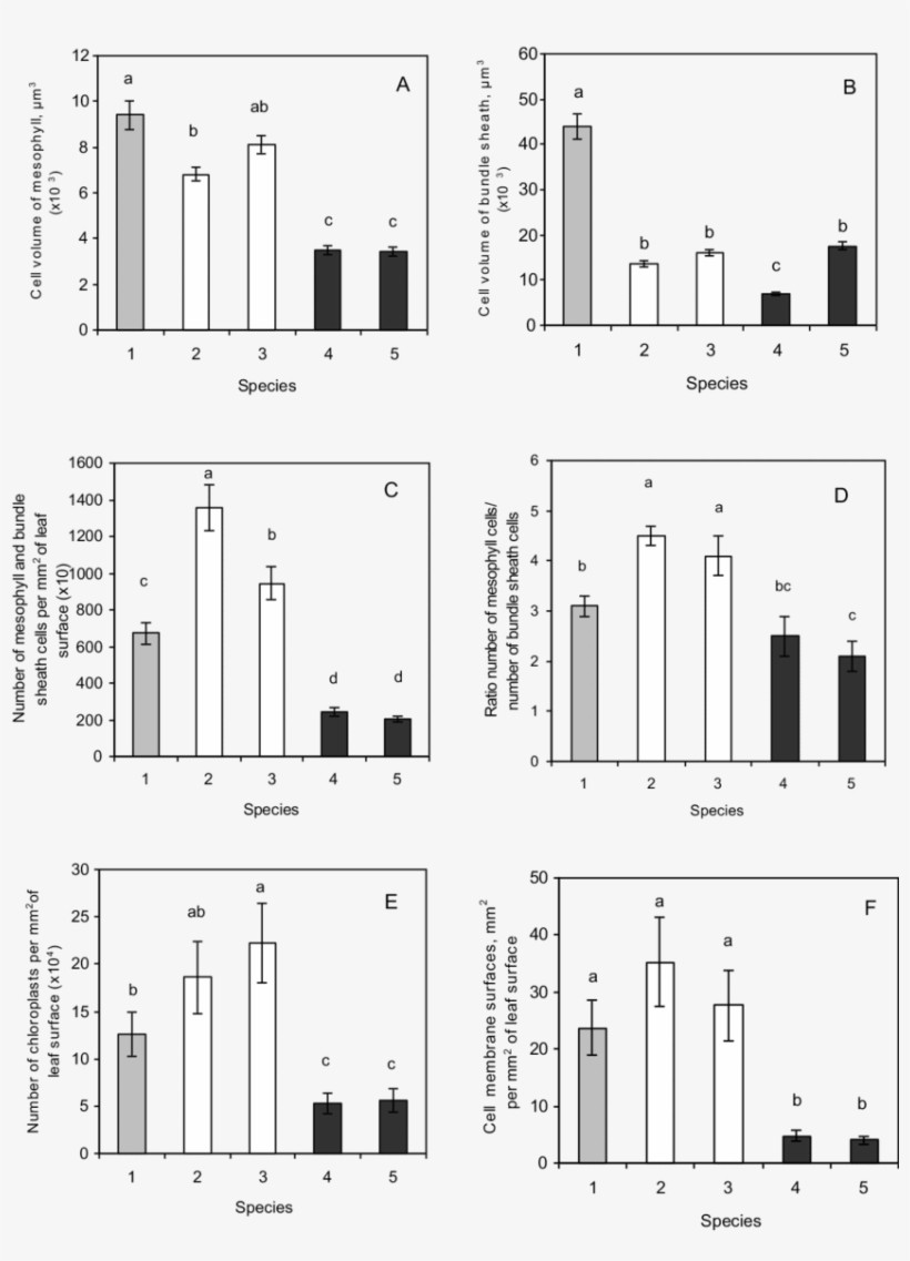 The Quantitative Characteristics Of Photosynthetic - Smad, transparent png #3902607