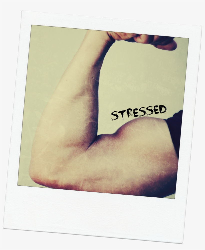 Strength For Stressed - Paper, transparent png #3902777