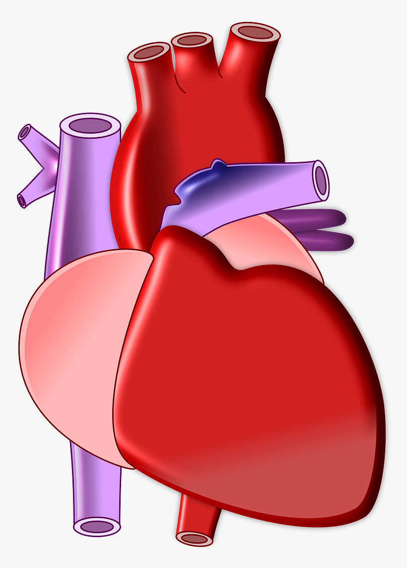 Feeling Stressed Or Depressed Keep An Eye On Your Heart - Dolor En El Brazo Izquierdo, transparent png #3903094