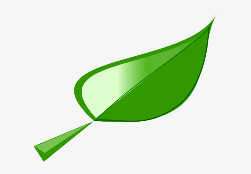 Single Green Leaf Clip Art, transparent png #3903238
