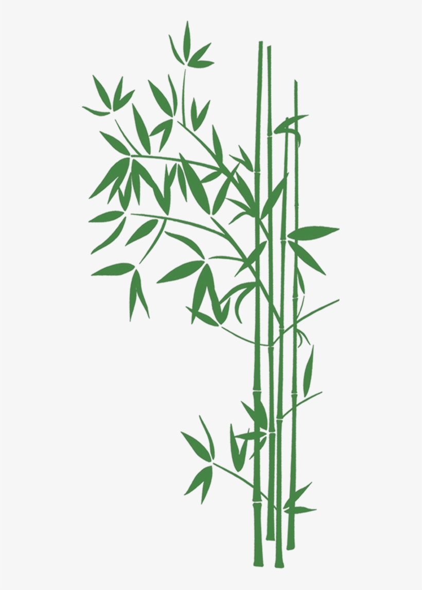 Bamboo Leaves - Bambu Fondos Png, transparent png #3903327