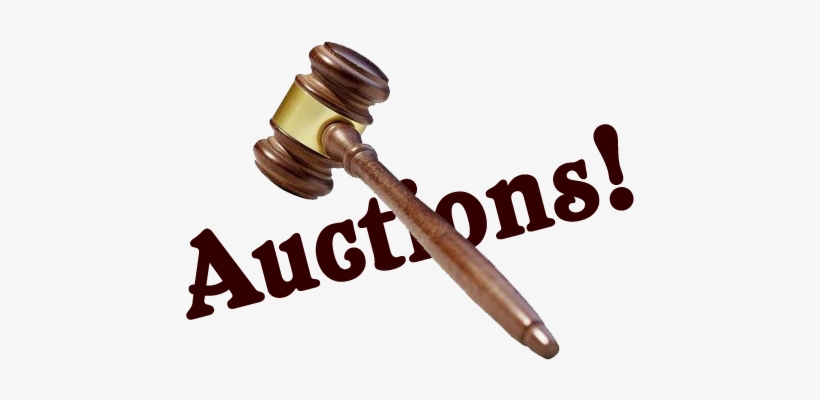 Coca-cola Collectibles Plus So Much More, Inc - Buildasign 2nd Amendments Defending The 1st Bumper, transparent png #3903916