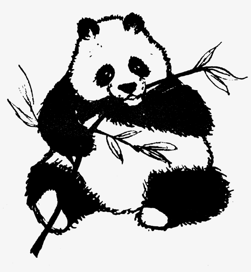 This Free Icons Png Design Of Found Panda Chewing On, transparent png #3904073