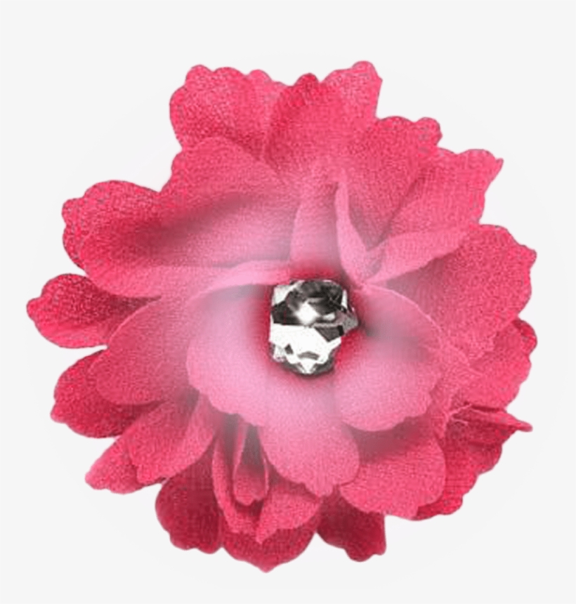 Hot Pink Flower - Black Flower Png, transparent png #3904589