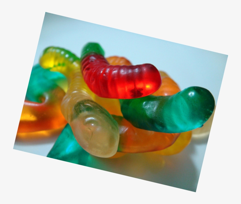 Gummy Worms Guessing Contest Winners - Gummy Bear, transparent png #3904673