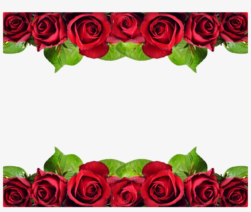 Red Roses Border Png - Red Roses Border Design Hd, transparent png #3904728