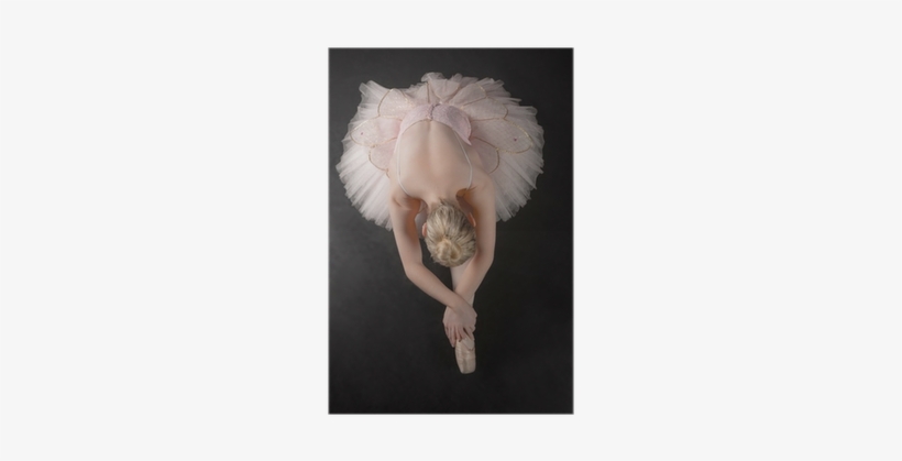 Graceful Ballerina Bending Forward In Pink Tutu Poster - Ballerina Bending Forward, transparent png #3904729