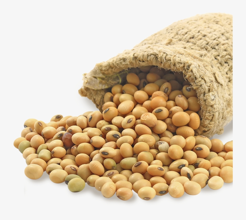 Soybeans Png - فول الصويا, transparent png #3904768