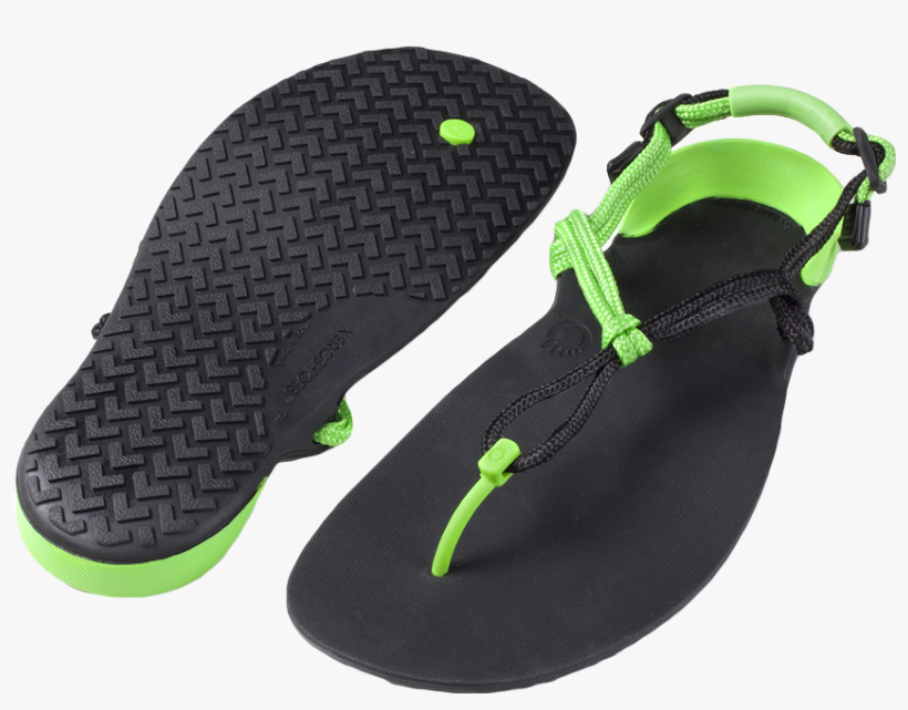 320 × 240 Pixels - Shark Tank Xero Shoes, transparent png #3904770
