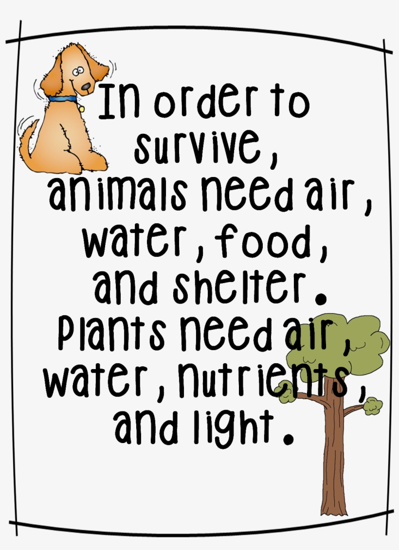 Gummy Worm Vs - Basic Needs Of Living Things Poster, transparent png #3905328