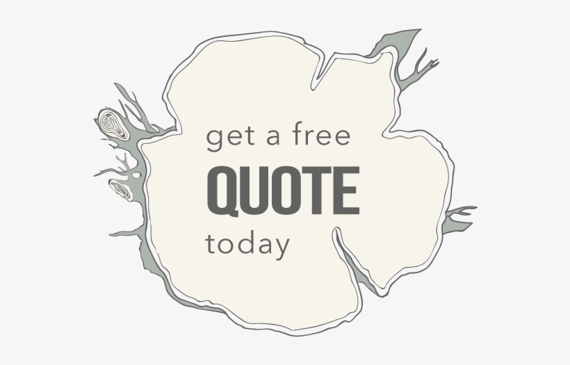 Bird - Illustration, transparent png #3905576