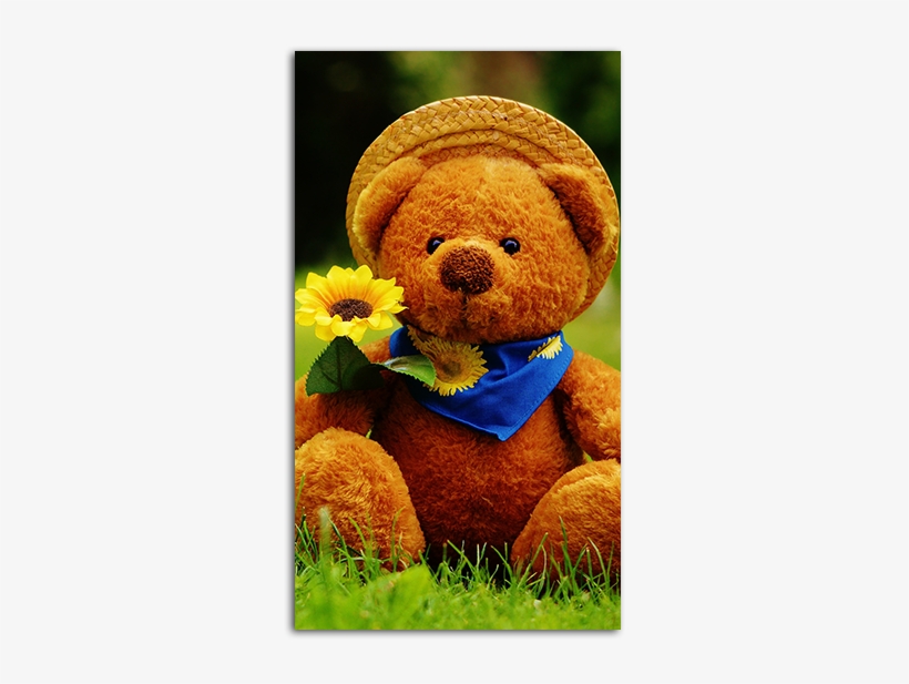 Teddy Bear Wallpaper Hd - Day I Met You, transparent png #3905920