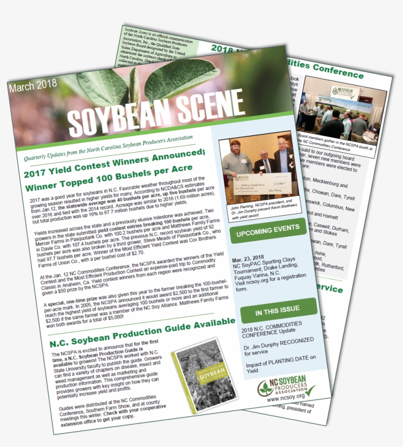 Soybean - Flyer, transparent png #3906017