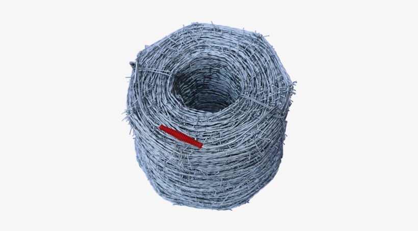 Below Other Design Barb Wire Can Also Be Supplied By - Barbed Wire, transparent png #3906613