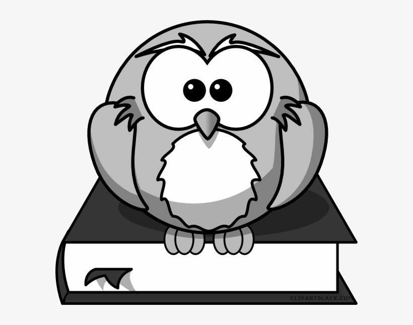 Owl On A Book Animal Free Black White Clipart Images - Owl On Book Shower Curtain, transparent png #3906694